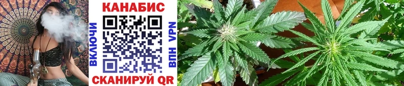 Купить закладки  Пролетарск  Шишки марихуана SATIVA & INDICA 